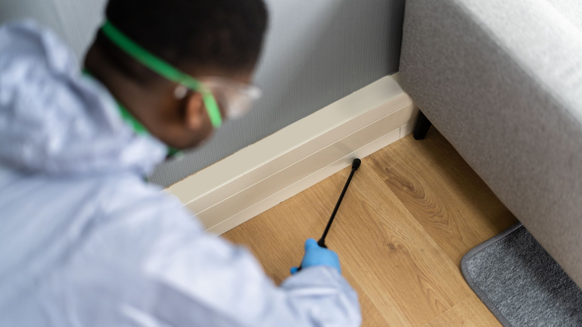 mattress cleaning service in ventura