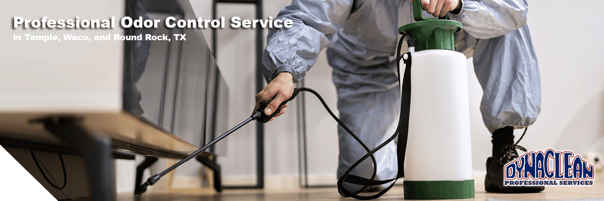 wood floor cleaning service in ventura