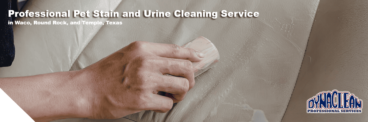 water damage and restoration service in ventura
