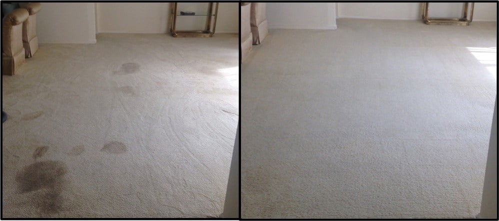 carpet cleaning service in ventura