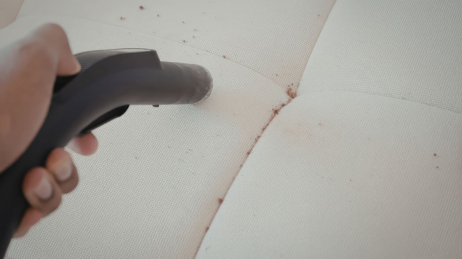 upholstery cleaning service in ventura